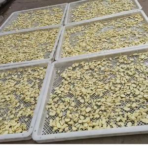 Máquina Eléctrica para Cortar y Pelar Ajo con Motor, Línea de Producción de Ajo en Polvo, Capacidad de 300 kg/h - Product Image 2