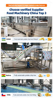 Verkoop kleine aardappelchipslijn, Franse verwerkingsfriteuse, bananenproductie, belangrijke machine, professionele fabriek
