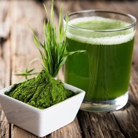 Poudre d'herbe de blé de qualité alimentaire extraite de germes de blé frais Superfood 1kg Commande minimum d'extrait de plantes pures