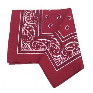 Algodón personalizado impreso cuadrado deportes bufanda multifuncional al aire libre ciclismo máscara Casual cuadrado bufanda Bandana - Product Image 1