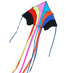 Groothandel Outdoor Gemakkelijk Vliegende Grote Delta Lange Staart Paraplu Doek Enorme Volwassen Strand Draad Flying Kite