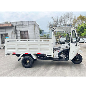 <span class=keywords><strong>Triciclo</strong></span> <span class=keywords><strong>de</strong></span> <span class=keywords><strong>Carga</strong></span> <span class=keywords><strong>Económico</strong></span> <span class=keywords><strong>de</strong></span> 3 Ruedas, 165CC, Refrigerado por Aire, Eficiente en Consumo <span class=keywords><strong>de</strong></span> Combustible, <span class=keywords><strong>Triciclo</strong></span> Pequeño para Entrega <span class=keywords><strong>de</strong></span> <span class=keywords><strong>Carga</strong></span> - Product Image 3