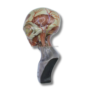 Пользовательские OEM 3D услуги печати, полимерные полноцветные 3D-рисунки, быстрый прототип, пластиковый материал, сервис 3d печати - Product Image 1