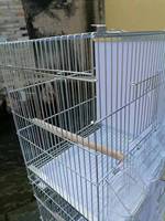 Cages d'élevage pour canaris OEM, cages d'élevage empilables, cage d'élevage pour pinsons, cage à oiseaux pliable avec cage en fil métallique et dispositif d'alimentation