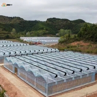 Film de serre à lumière diffusée à 7 couches, fabricant de film plastique anti-UV et anti-goutte pour la culture des fraises, des bleuets et des fruits