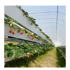Giardino di casa per interni lattuga fiore di pomodoro verticale crescere kit verticale nft idroponico sistemi fragola idroponica sistema per la vendita