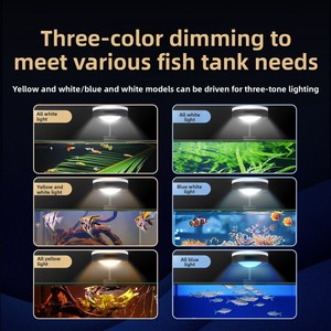 <span class=keywords><strong>Éclairage</strong></span> <span class=keywords><strong>LED</strong></span> professionnel pour <span class=keywords><strong>aquarium</strong></span>, lumière de croissance à spectre complet pour aquariums plantés, favorisant la croissance des <span class=keywords><strong>algues</strong></span>, support compact, luminaire dimmable pour la maison - Product Image 2