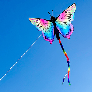<span class=keywords><strong>Cerf</strong></span>-<span class=keywords><strong>volant</strong></span> papillon à longue queue pour enfants, facile à piloter, en polyester et fibre de verre, impression personnalisée, vente en gros - Product Image 3