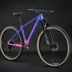 Wettbewerbs fähiger Preis High-End Downhill Aluminium legierung Bicicleta MTB AIR Suspension 29 "Cycle Mountainbike