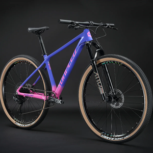 Rekabetçi fiyat High-end yokuş aşağı alüminyum alaşım Bicicleta MTB hava süspansiyon 29 "döngüsü dağ bisikleti - Product Image 1