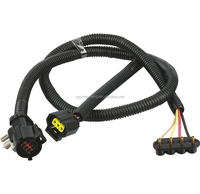 Harnais de câblage ECU automobile personnalisé de haute qualité en PVC/Nylon/PBT, indice de protection IP66, conforme à la norme TS16949 pour les connexions électriques