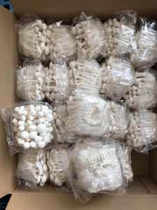 DETAN Fábrica Chinesa Cultivado Exportado Exótico Fresco Caranguejo Branco Shimeji <span class=keywords><strong>Mushroom</strong></span> Price - Product Image 6