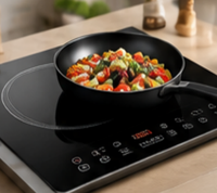 Carte de commande de puissance pour cuisinière à induction personnalisée avec dissipateur de chaleur pour plaque de cuisson électrique