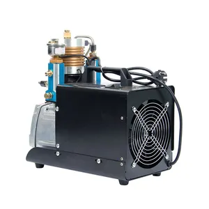 2019 Nuevo libre de aceite y 300 Bar 4500 Psi PCP bomba eléctrica de rifles  de aire compresor de aire - China La PCP, Oilless compresor Compresor