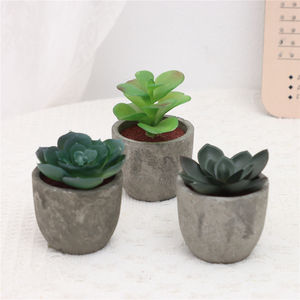Lot de 5 plantes artificielles Greatflower durables pour <span class=keywords><strong>intérieur</strong></span> : <span class=keywords><strong>Eucalyptus</strong></span>, Romarin, Succulentes en <span class=keywords><strong>pot</strong></span> en papier pour décoration de bureau et de maison - Product Image 5