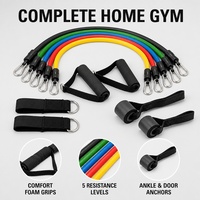 Juego de Bandas de Resistencia de Diseño Nuevo 2026 con Colores Personalizados, con Asas, Correas para Tobillos y Anclaje para Puerta, para Yoga, Gimnasio y Entrenamiento Físico