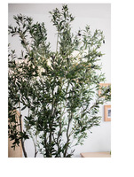 Duurzaam Indoor/Outdoor Plastic Kunstmatige Olijfboom Levensechte Bladeren Met Verwijderbare Vruchten Faux Tak Plant Decor Groot Formaat
