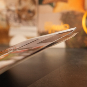 บริการออกแบบและผลิตแคตตาล็อก เมนู โบรชัวร์ สมุดพับ คุณภาพสูงแบบ OEM พร้อมบริการเย็บเข้าเล่ม ปกแข็ง เคลือบฟิล์ม ปั๊มนูน/ปั๊มจม - Product Image 4