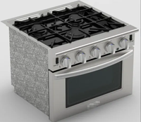 Barbecue à Convection gpl à gaz autoportant pour camping-car nord-américain, brûleur de 24 pouces 4/6 à allumage électronique, grille en porcelaine, gamme de fours à gaz