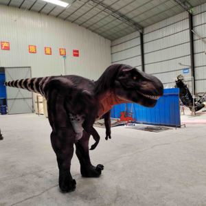 Costume de dinosaure taille réelle t-rex <span class=keywords><strong>2022</strong></span> Offre Spéciale à vendre - Product Image 6
