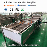 Wasmachine Voor Groenten En Fruit Wasmachine Dadels Appelwasmachine