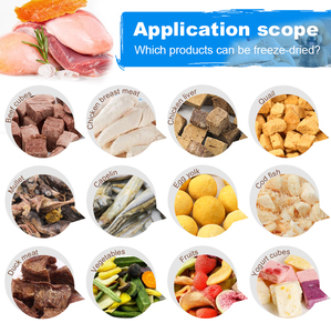Machine de lyophilisation industrielle du fabricant d'origine pour aliments pour animaux de compagnie, viande de caille, krill de l'Antarctique - Product Image 3