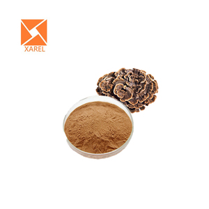 Halal giấy chứng nhận tự nhiên coriolus versicolor chiết xuất Polysaccharide <span class=keywords><strong>PSK</strong></span> 10% ~ 50% Thổ Nhĩ Kỳ Nấm đuôi chiết xuất - Product Image 3