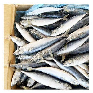 Meeresgefrorene Thomson-Makrele 15kg 90-100 Stück pro Karton Pazifische Makrele zu Wettbewerbspreisen für Afrika - Product Image 1