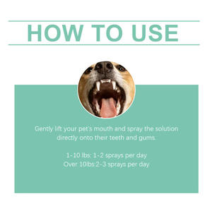 Spray Bucal para Perros y Gatos, 100 ml, Extracto Herbal, Promueve un Aliento Fresco, Refuerza el Sistema Inmunitario, Limpia los Dientes, Encías Saludables, Sin Cepillo Dental - Product Image 5