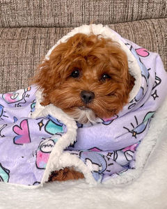 ผ้าห่มขนแกะผ้าสักหลาดพิมพ์ลายอบอุ่นผ้าห่มสัตว์เลี้ยงดีไซน์ขนาดสุนัขแมวออกแบบได้ตามต้องการ - Product Image 5