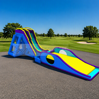 Toboggans aquatiques gonflables géants en PVC bleus pour enfants et adultes, prix d'usine Wolong