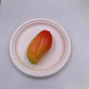 3-compartimento Color <span class=keywords><strong>restaurante</strong></span> <span class=keywords><strong>bagazo</strong></span> de materias primas - Product Image 4