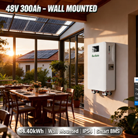 Baterai Lithium 48V 300Ah 14kWh untuk Sistem Surya All in One yang Dipasang di Dinding dengan Roda