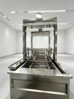 Geavanceerde industriële volautomatische luchtbel-pomp wasmachine motor, food grade, hoge reinigingsgraad, stabiele transportband voor