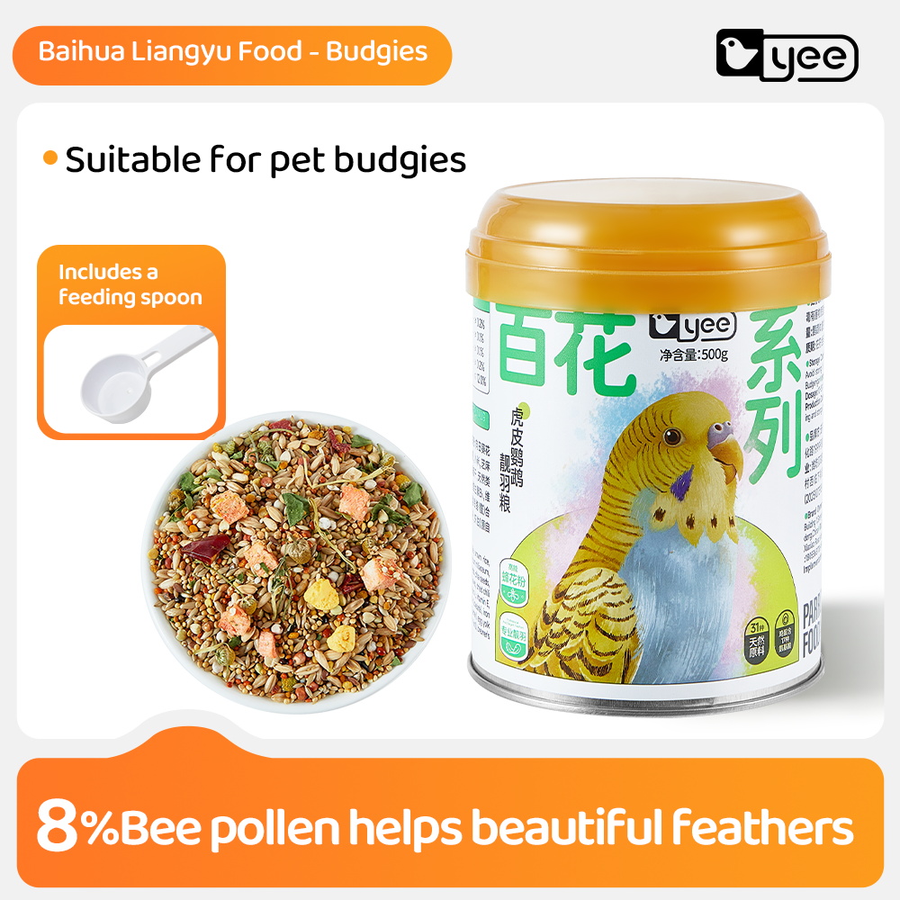 budgie food