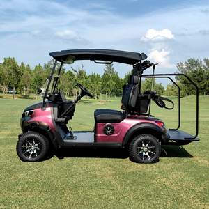 <span class=keywords><strong>Chariots</strong></span> <span class=keywords><strong>de</strong></span> <span class=keywords><strong>Golf</strong></span> Électriques Biplaces Haut <span class=keywords><strong>de</strong></span> Gamme avec Pneus <span class=keywords><strong>de</strong></span> 12/14 Pouces, Tension <span class=keywords><strong>de</strong></span> Batterie 48V, Personnalisation et Éclairage d'Ambiance - Product Image 4