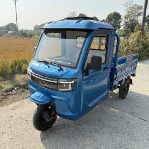 Triciclo Eléctrico de Carga con Cabina Cerrada, Volante, COC CE, 3000W, EEC, Tres Ruedas, con DDP, Almacén en Rumania, 2026 - Product Image 2