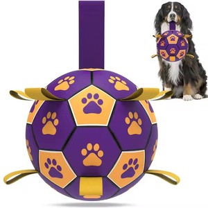 Großhandel Mode Haustier Fußball Hundes pielzeug Hund Kauen Spielzeug Ball Private Label Hundes pielzeug - Product Image 2