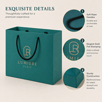 Sac en carton kraft de luxe personnalisé, écologique et recyclable, pour cadeaux de détail, avec impression sérigraphique, dorure à chaud, revêtement UV et finition gaufrée