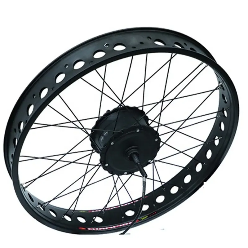 20 "24" 26 "ruota posteriore grasso cerchio 48v750w bicicletta elettrica kit di conversione