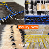 Lots de Cheveux Bruts Remy Vierge en Gros, Extensions de Cheveux Brésiliens 100% Naturels, Double Trame Faite à la Machine pour Femmes Noires