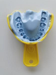 ZOGEAR TM029 impronte di alginato dentale in polvere/materiale per impronte dentali - Product Image 3
