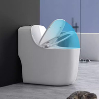 Ensemble de toilette monobloc en céramique à double chasse d'eau Réservoir dissimulé Articles sanitaires en marbre de couleur personnalisée P-Trap Drainage WC Accessoire de salle de bain