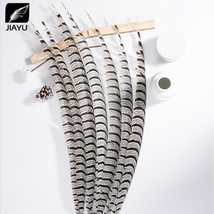 Bán Buôn Tự Nhiên Phong Phú Phụ Nữ Ngựa Vằn Gà lôi Lông Cho Giáng Sinh/Lễ Hội Chùm/Mũ/Dresses/Quần Áo/DIY Làm - Product Image 1