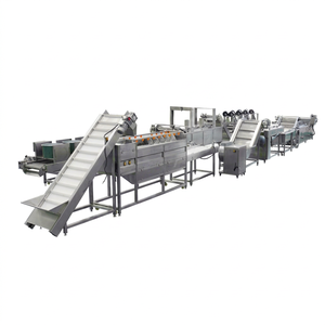 Ligne de production de frites, chips de pommes de terre et de légumes/fruits de mer avec contrôle automatique, capacité de 100 kg à 5000 kg/h - Product Image 1