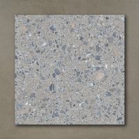 Sol de salle de bain pas cher, Terrazzo mat antidérapant émaillé, carreaux d'intérieur en porcelaine rustique