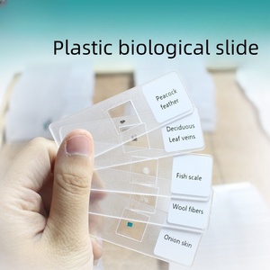 Portaobjetos de Microscopio Biológico y Patológico, Especímenes de Ojos de Insectos, Vidrio Estándar para Laboratorio de Biología - Product Image 5