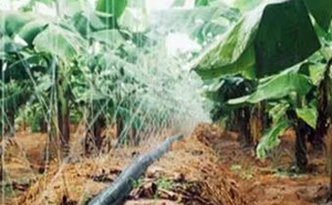 <span class=keywords><strong>Tuyau</strong></span> de pluie en plastique LDPE robuste de 63 et <span class=keywords><strong>75</strong></span> <span class=keywords><strong>mm</strong></span> pour système d'irrigation automatique pour l'agriculture et le jardin - Product Image 5