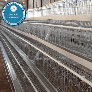 Yüksek kaliteli sıcak daldırma galvanizli kanatlı tavuk kafesi üreticisi/civciv/pullet/tavuk yumurtlama kafesi (Guangzhou fabrika) - Product Image 2