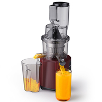 Op Maat Gemaakte Industriële Slow Juicer Grote Mond Fruit Extractor Commerciële Elektrische Stroombron Koude Pers Sap Machine Huishouden